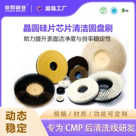 晶圓硅片芯片清潔圓盤刷 晶圓硅片芯片清潔圓盤刷