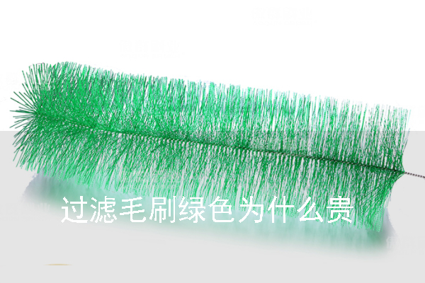 過濾毛刷綠色為什么貴 過濾毛刷綠色為什么貴
