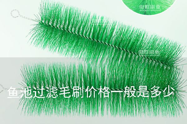 魚池過濾毛刷的價格一般是多少 魚池過濾毛刷的價格一般是多少