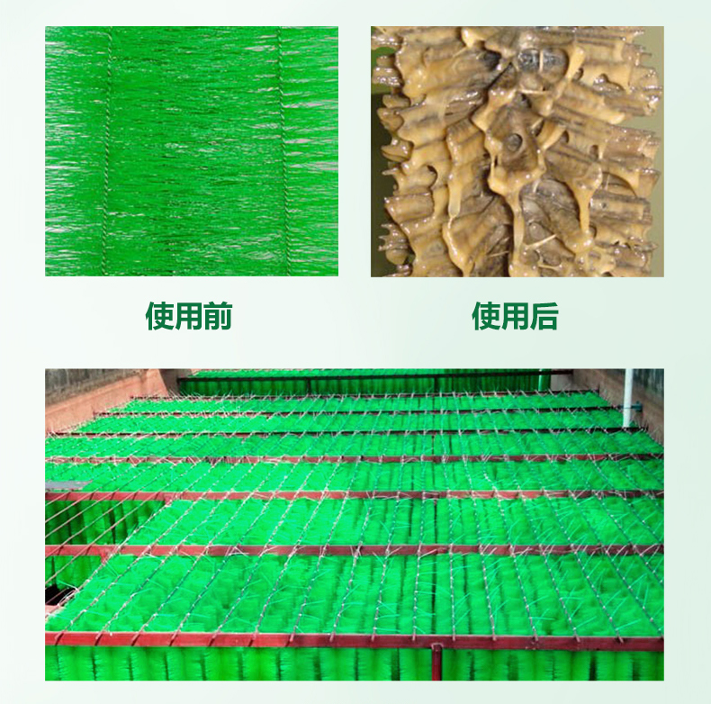 1750324479558387.jpg dfsd.jpg